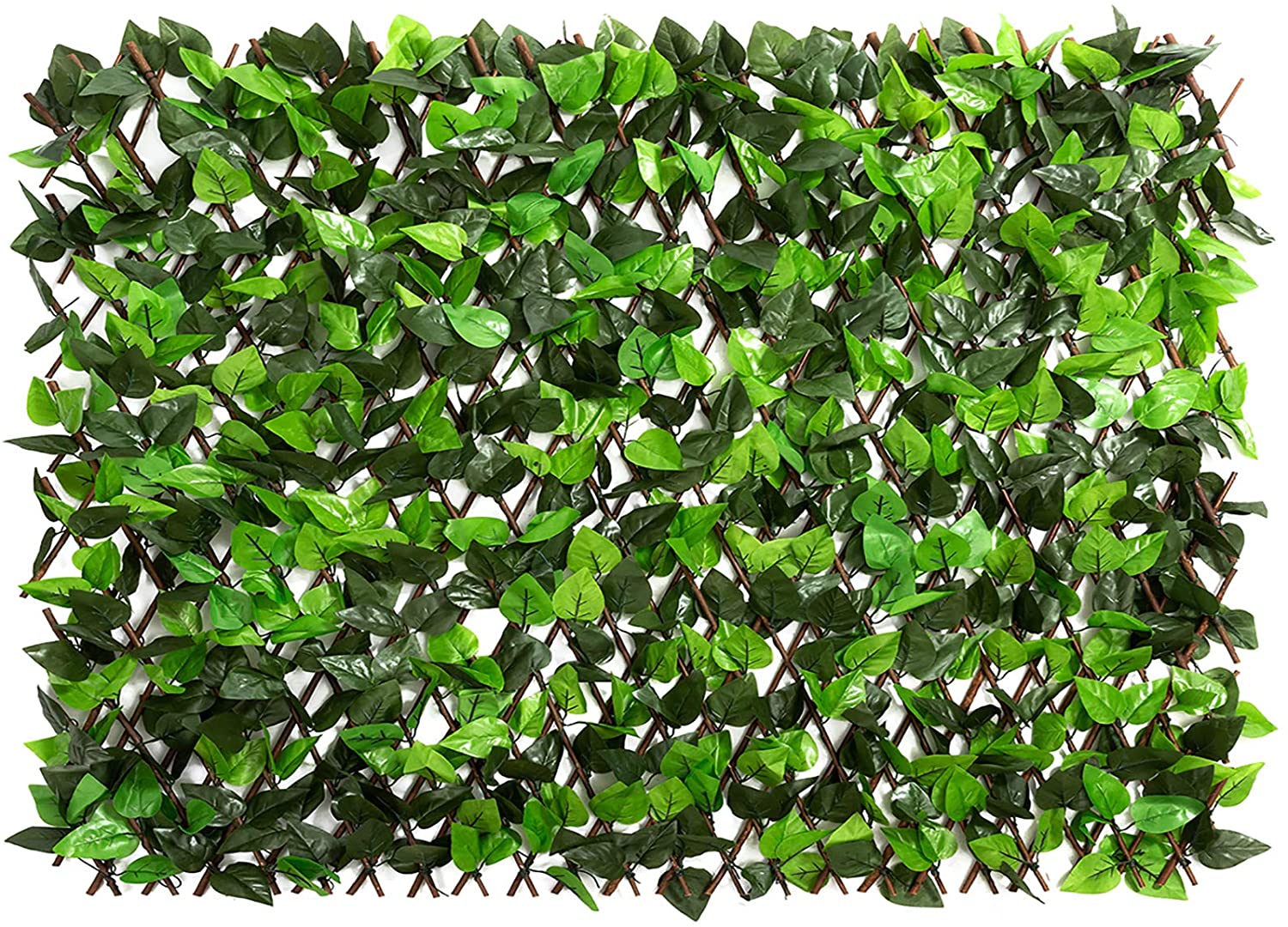 LeafFence™ - Genießen Sie einen attraktiven grünen Effekt